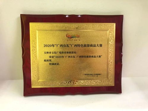 喜讯丨玉林学子技能大赛展风采，多项大奖彰显卓越实力