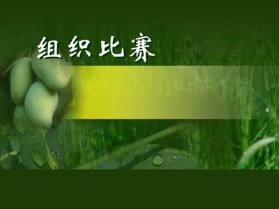 一年级下册《组织比赛》北师版PPT竞赛组织指南